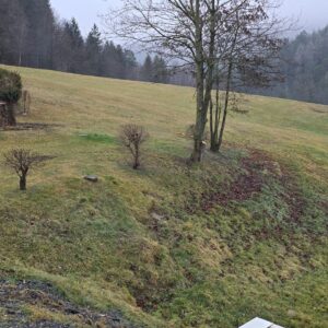 steinschlichtung vorher 3